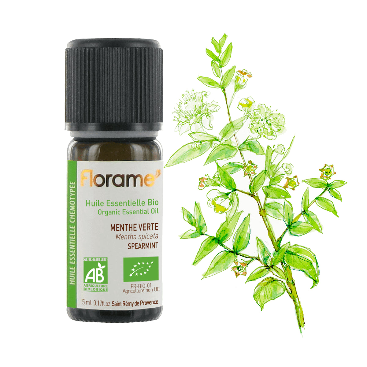 Huile Essentielle de Menthe Verte Biologique