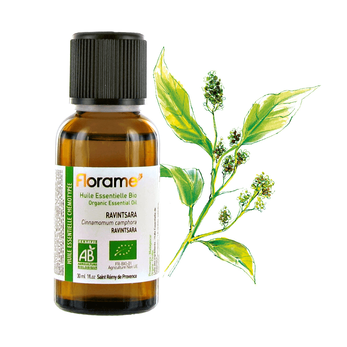 Organic Ravintsara Essential Oil